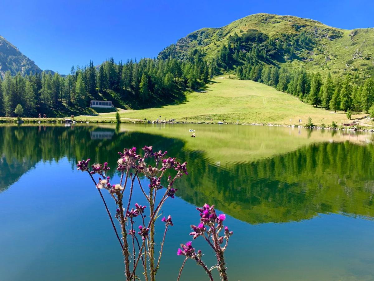 Vesterberg Apartments In Top Lage - Top Lage Schladming Ngoại thất bức ảnh
